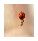 In fase di decollo In fase di decollo