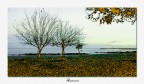 Autunno Autunno