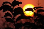 Tramonto Tramonto