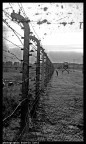 Birkenau Birkenau
