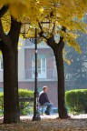 solitudine