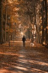 ...autumn...