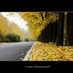 Sentori d'Autunno Sentori d'Autunno