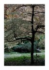 Autunno n°4 Autunno n°4