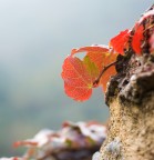 Luce d autunno Luce d autunno