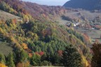 Tavolozza dell'autunno Tavolozza dell'autunno