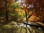 Colori d'Autunno Colori d'Autunno