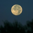 Dalla finestra , stamattina Dalla finestra , stamattina