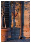 Ombre Ombre