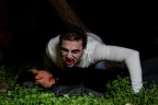 true blood true blood