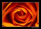 ...due anni con Photo4U... ...due anni con Photo4U...