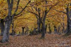 un mare autunnale un mare autunnale