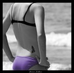 farfalla tatoo farfalla tatoo