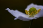 Tra le nuvole....il sole !