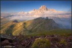 Le Pale di S. Martino di Castrozza dalla vetta della Cavallazza