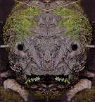 erba in bocca erba in bocca