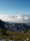Ravaccione Ravaccione