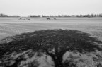 l'ombra nel campo l'ombra nel campo