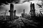 BW?  !Over the bridge! BW?  !Over the bridge!