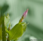 Ancora tu... Ancora tu...