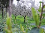 volevo catturare una temperatura e uno stato d'animo
