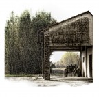 vecchio trattore vecchio trattore