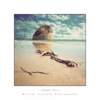 Torre Pali Torre Pali