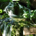 La natura è vita La natura è vita