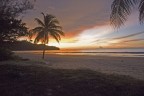 Tramonto, una palma, due sdrai Tramonto, una palma, due sdrai