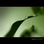 MY pain... MY pain...