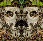 maschera con foglia verde maschera con foglia verde