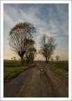 Strade Sterrate Strade Sterrate
