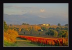 Tramonto..Sul Sagrantino..2 Tramonto..Sul Sagrantino..2