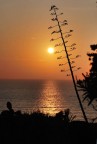 Summer suggestions at sunset Summer suggestions at sunset