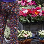 Flower power