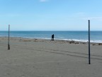 Passeggiando sulla spiaggia - Report - Passeggiando sulla spiaggia - Report -
