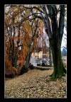 Autunno Autunno