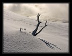 Solitudine