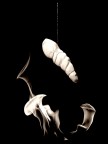...chrysalis...