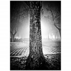 Nightlights Nightlights