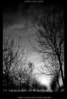 come to my light come to my light