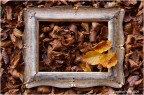 cornice autunnale cornice autunnale
