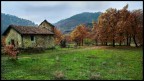 Abbandono..