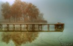 Nebbia sul lago di Candia.
Suggerimenti e critiche sempre ben accetti.