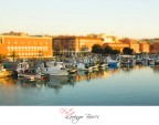 Livorno vista dalla sua Fortezza vecchia :)
Piccolo test ( Tilt Shift )