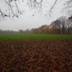 Autunno Autunno