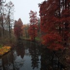 Autunno Autunno