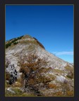 Autunno Autunno