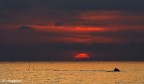 il pescatore di luce il pescatore di luce