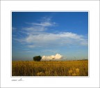 salento campagna...settembre2009...